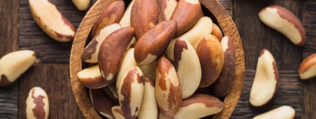 A comprehensive guide to the famous Brazil nuts