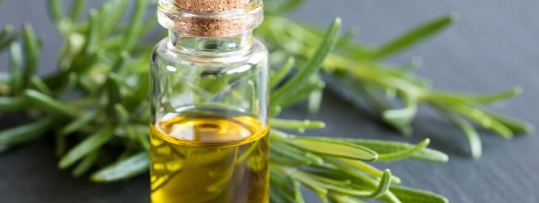 Rosemary oil is the key to treating hair loss