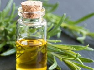 Rosemary oil is the key to treating hair loss