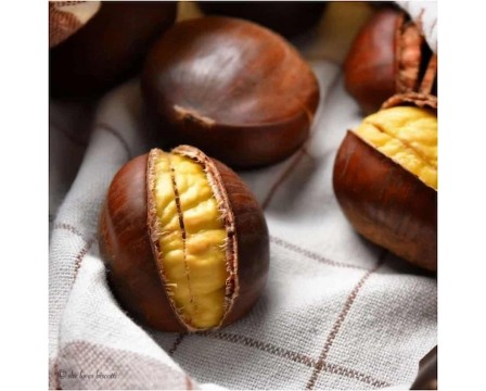 Turkish Chestnut (Castanea) 500 g