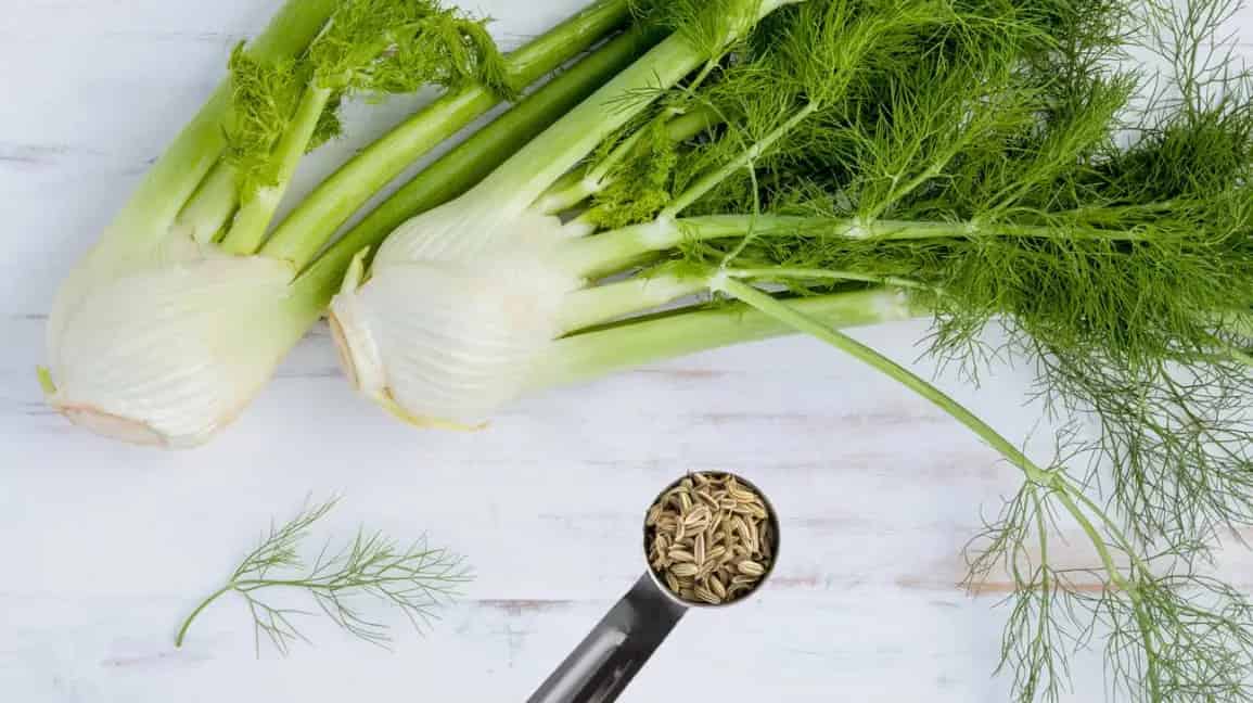 اعشاب تنزيل الوزن خلال اسبوع - الشمر